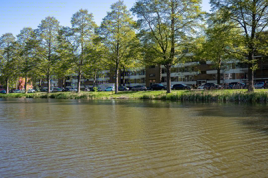 Foto 1 van Vondellaan 262