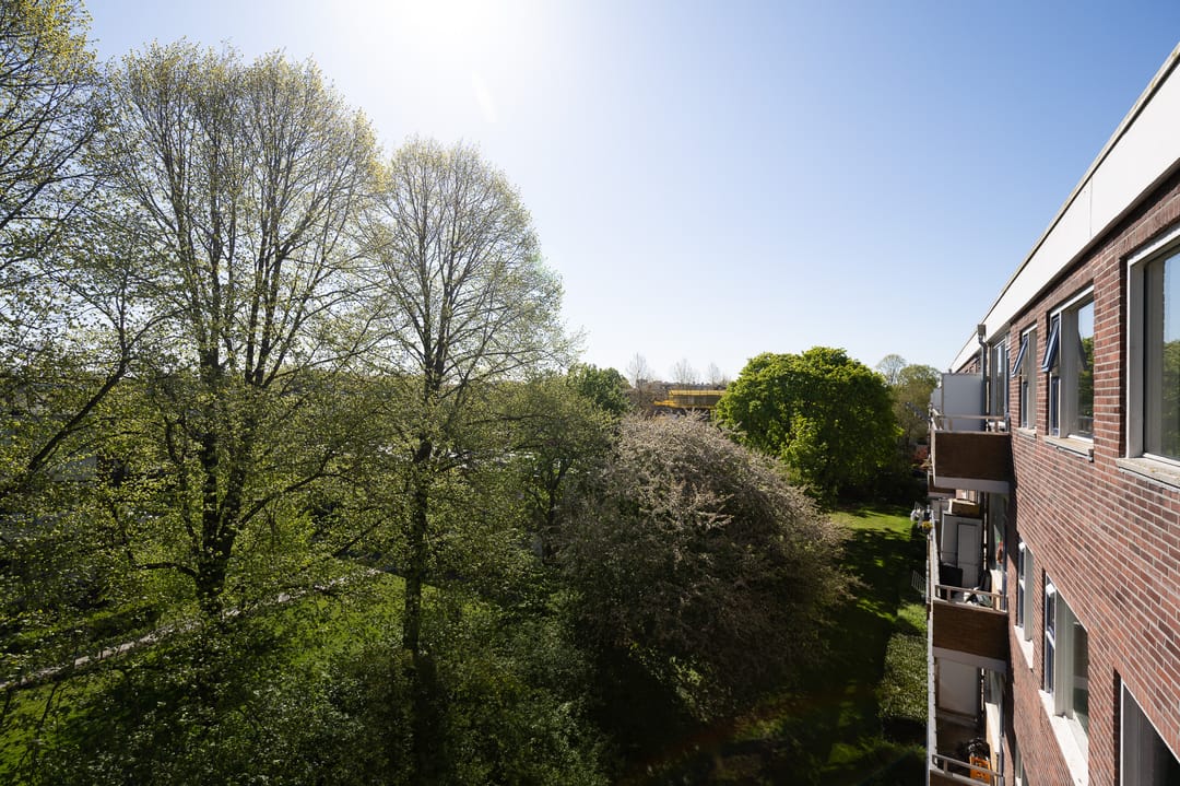 Foto 16 van Vondellaan 262