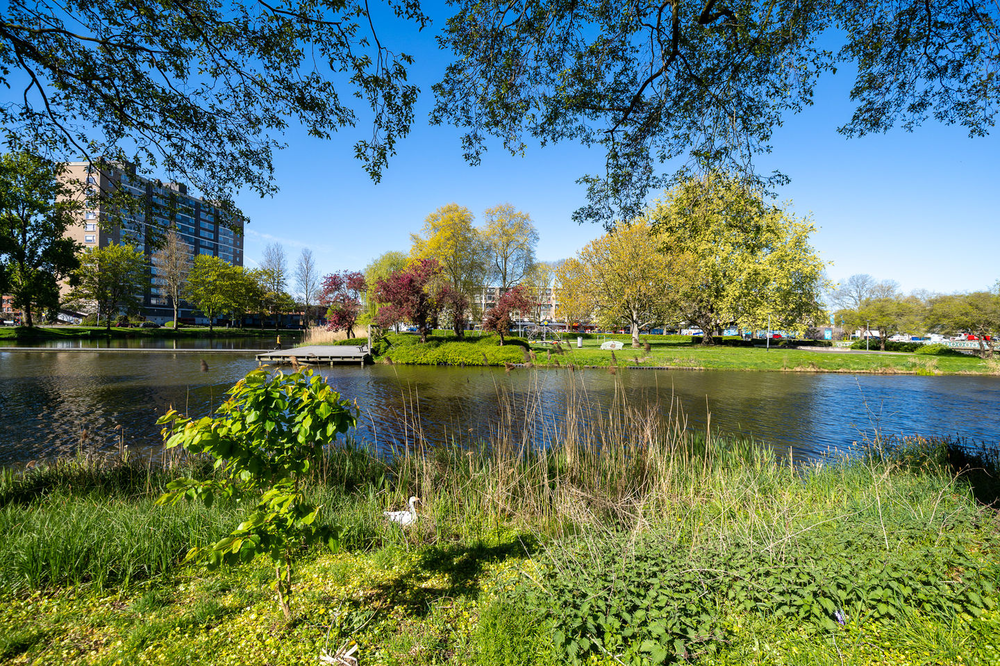 Foto 34 van Vondellaan 262