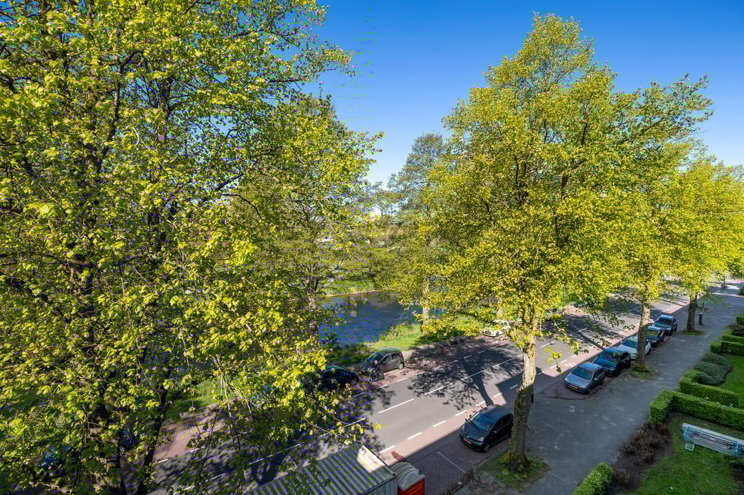 Foto 8 van Vondellaan 262