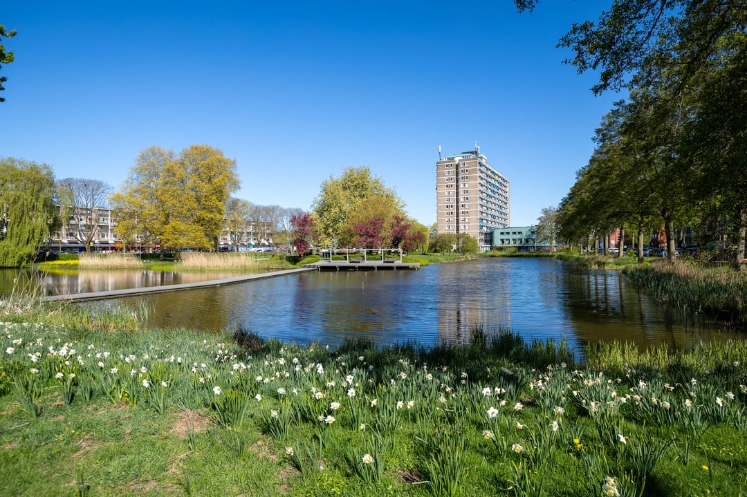 Foto 2 van Vondellaan 262