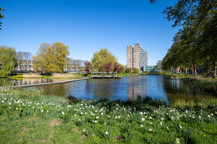 Foto 2 van Vondellaan 262