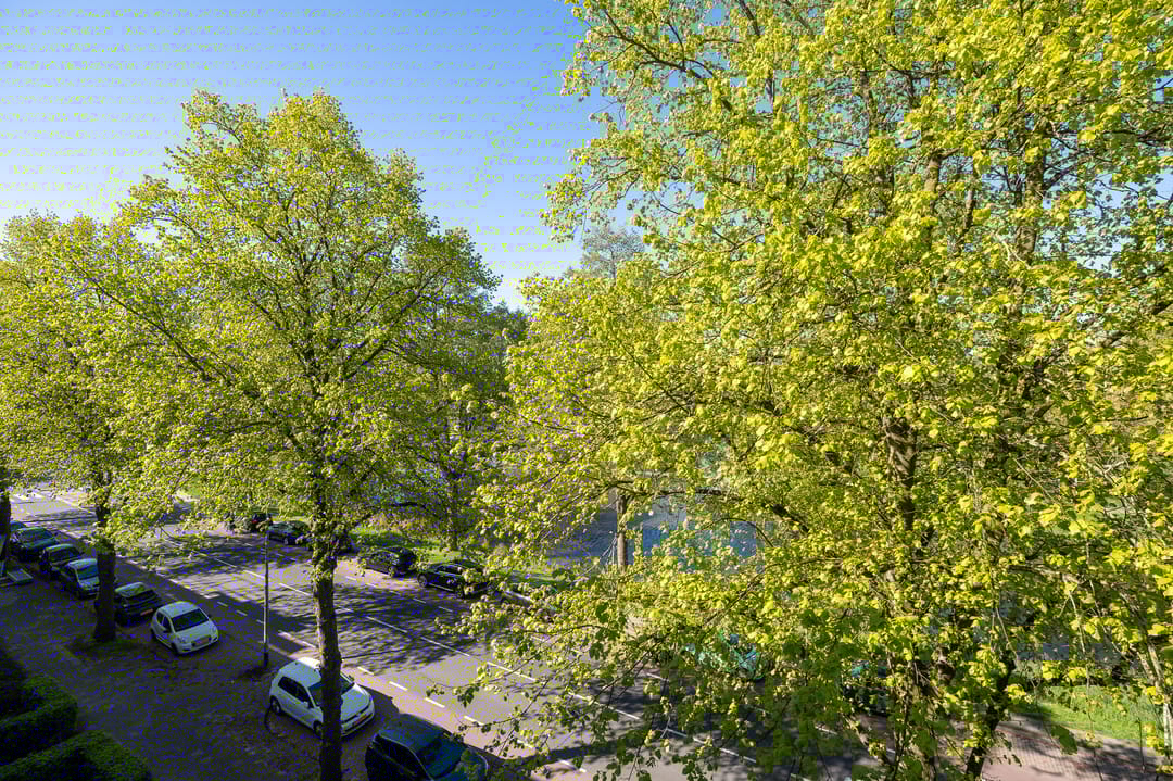 Foto 7 van Vondellaan 262