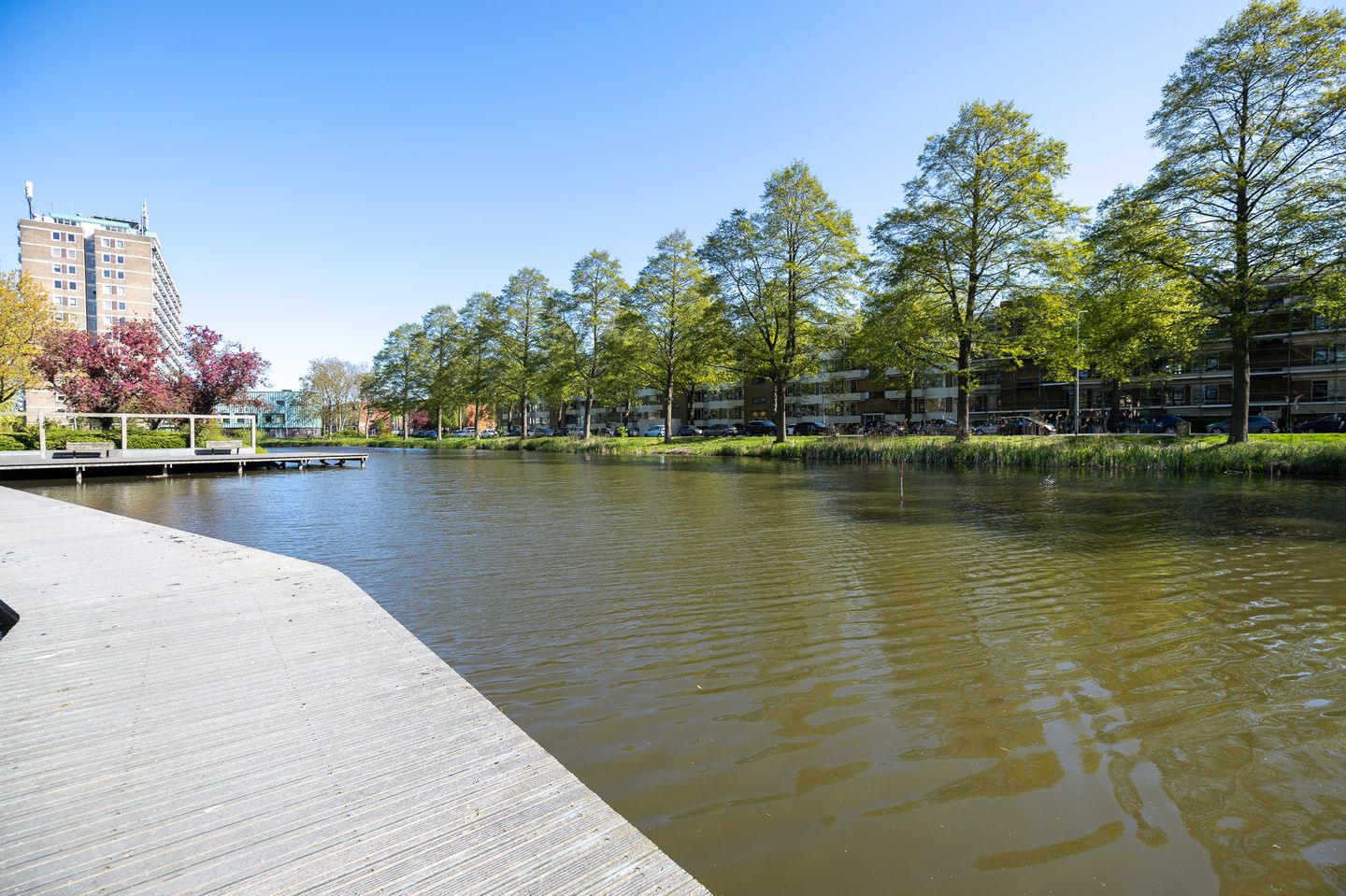 Foto 35 van Vondellaan 262