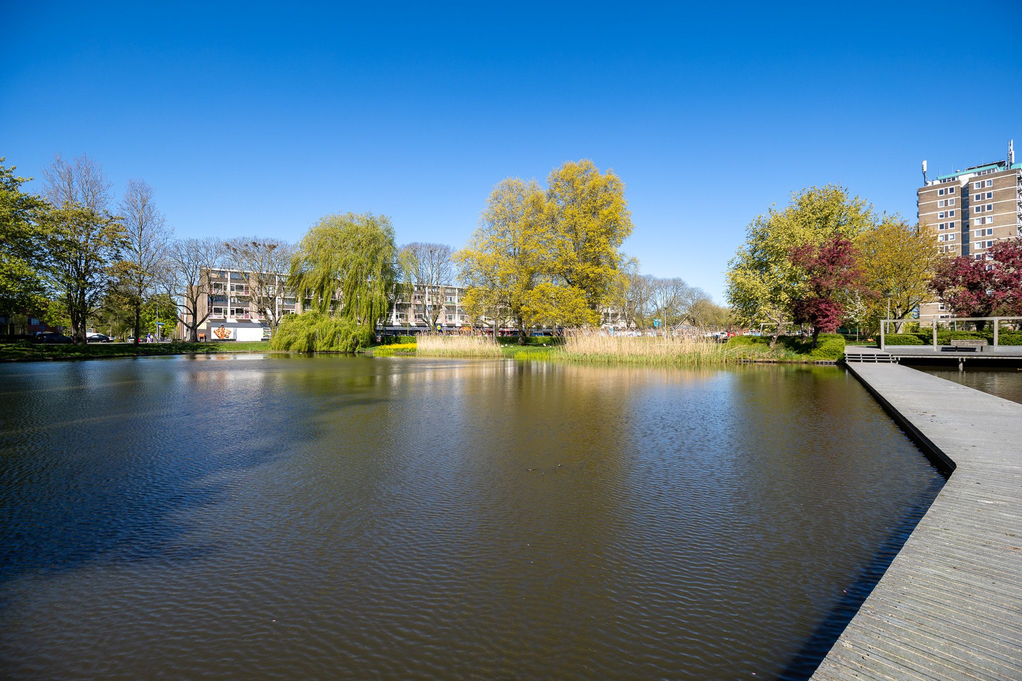 Foto 36 van Vondellaan 262