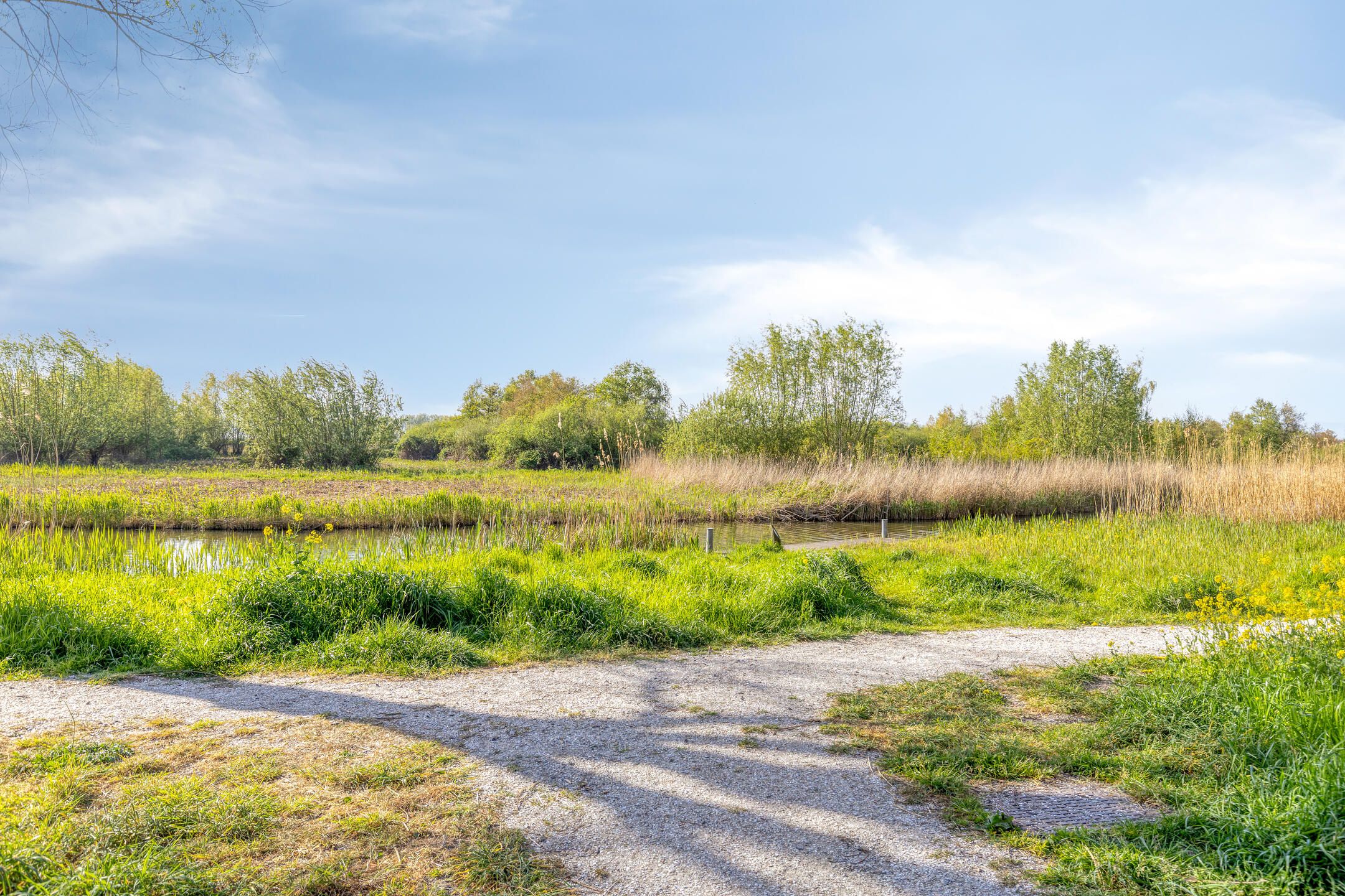 Foto 30 van Alligatorstraat 35