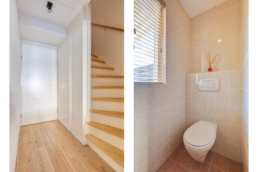 Foto 8 van Alligatorstraat 35