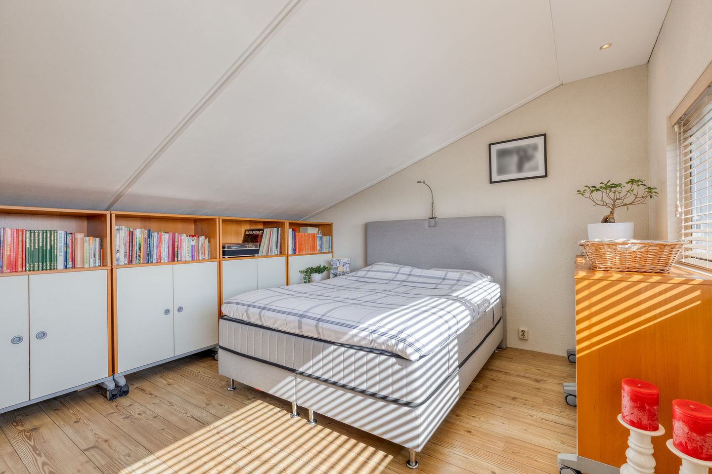 Foto 25 van Alligatorstraat 35