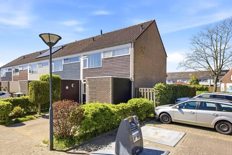 undefined main image