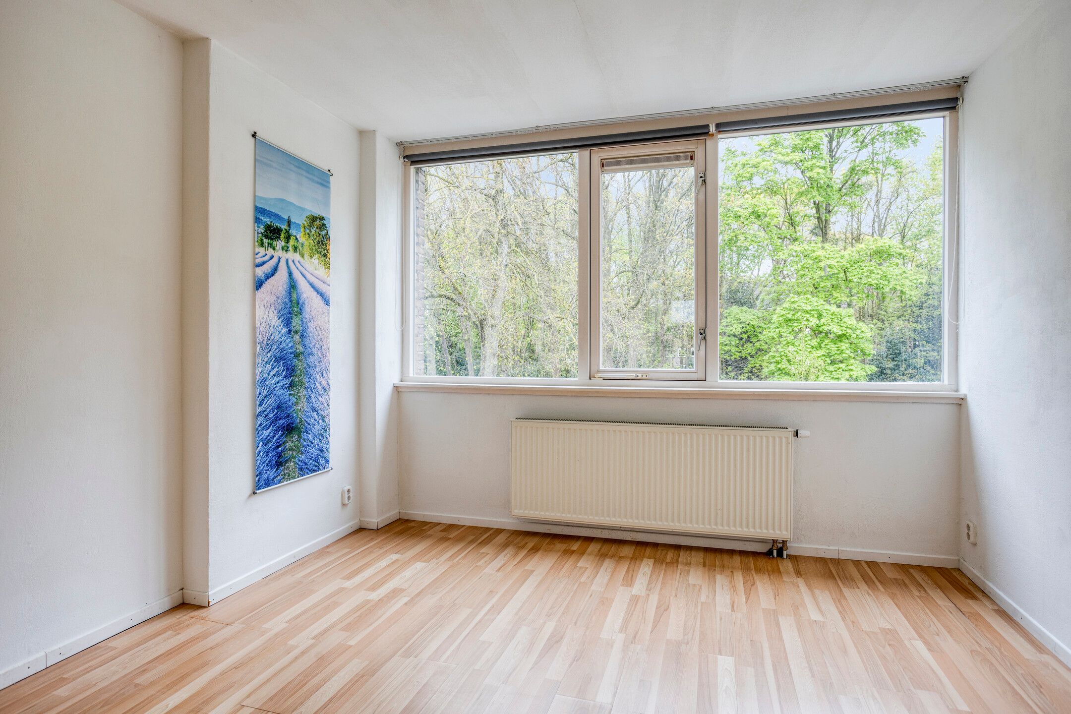 Foto 21 van Van Cranenborchstraat 41