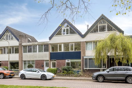 Van Cranenborchstraat thumbnail