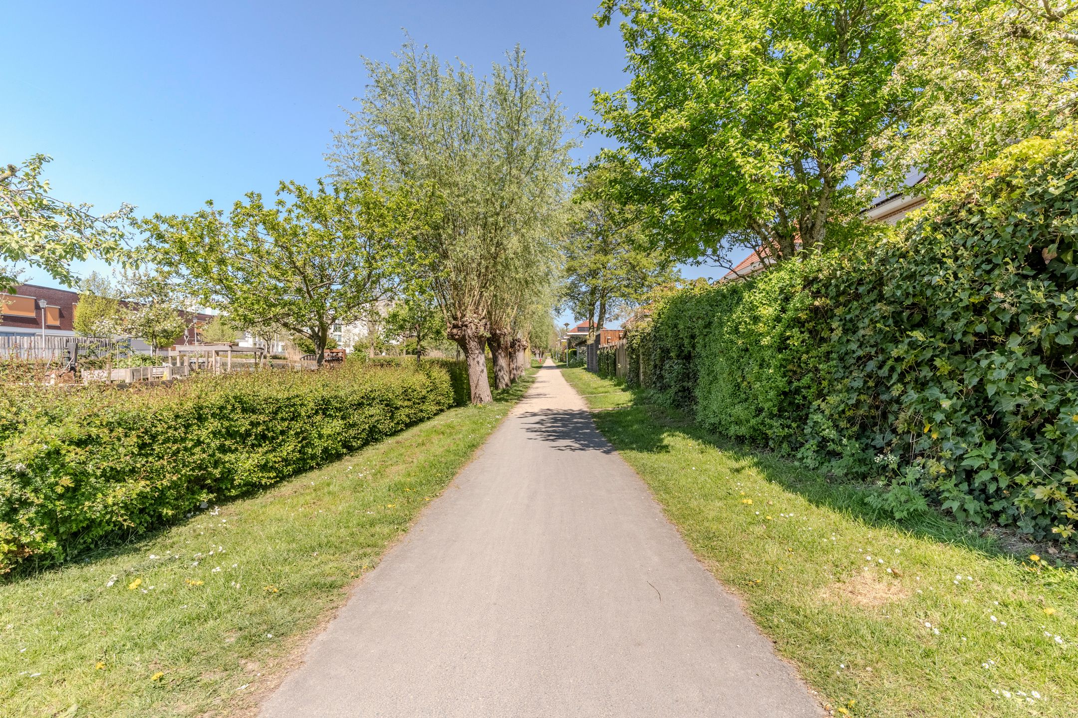 Foto 45 van Wilhelmina Druckerweg 21