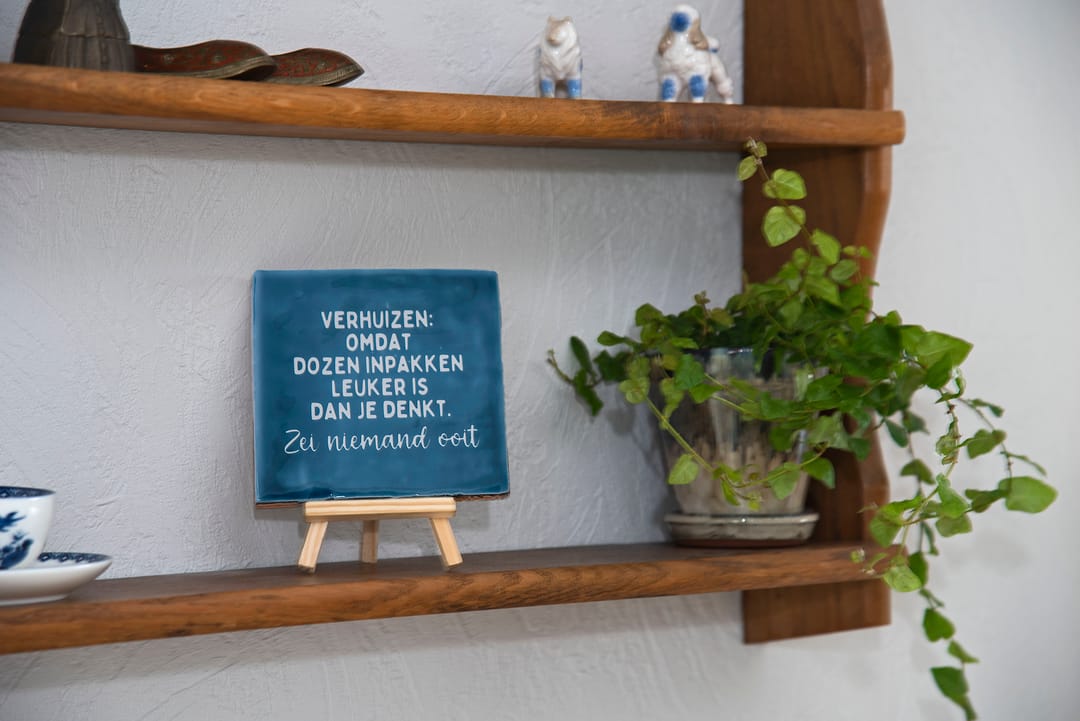 Foto 7 van Somerset 31