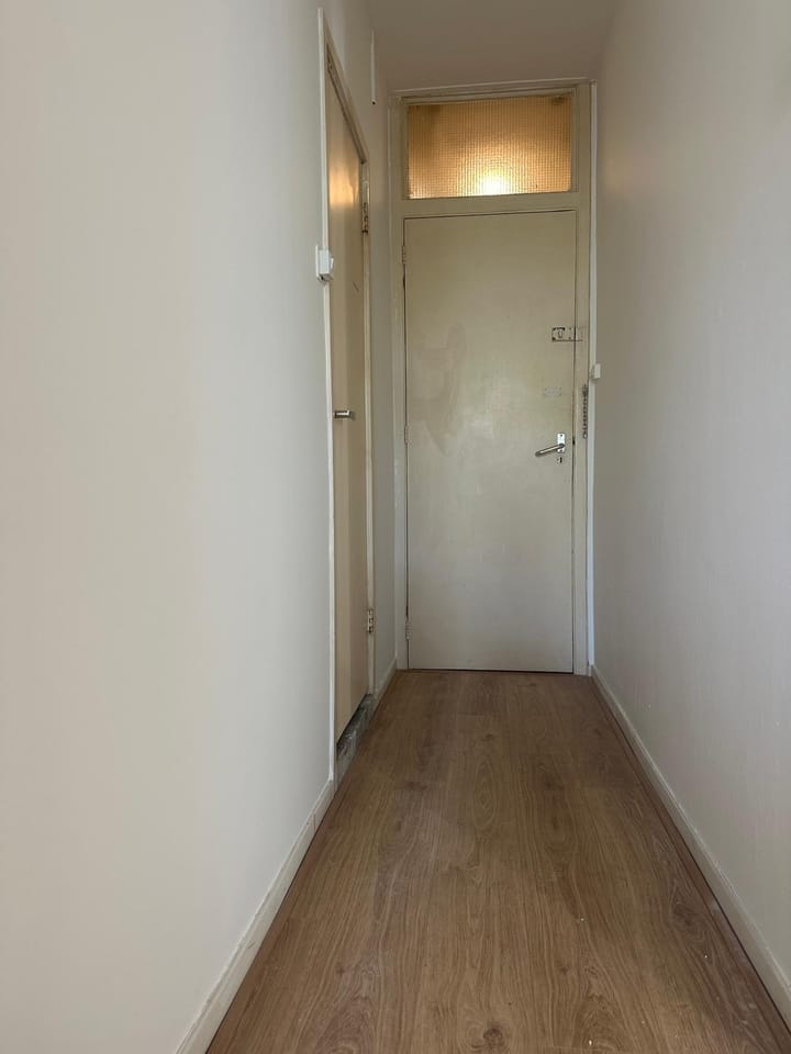 Foto 4 van Eerste Jan Steenstraat 106-3