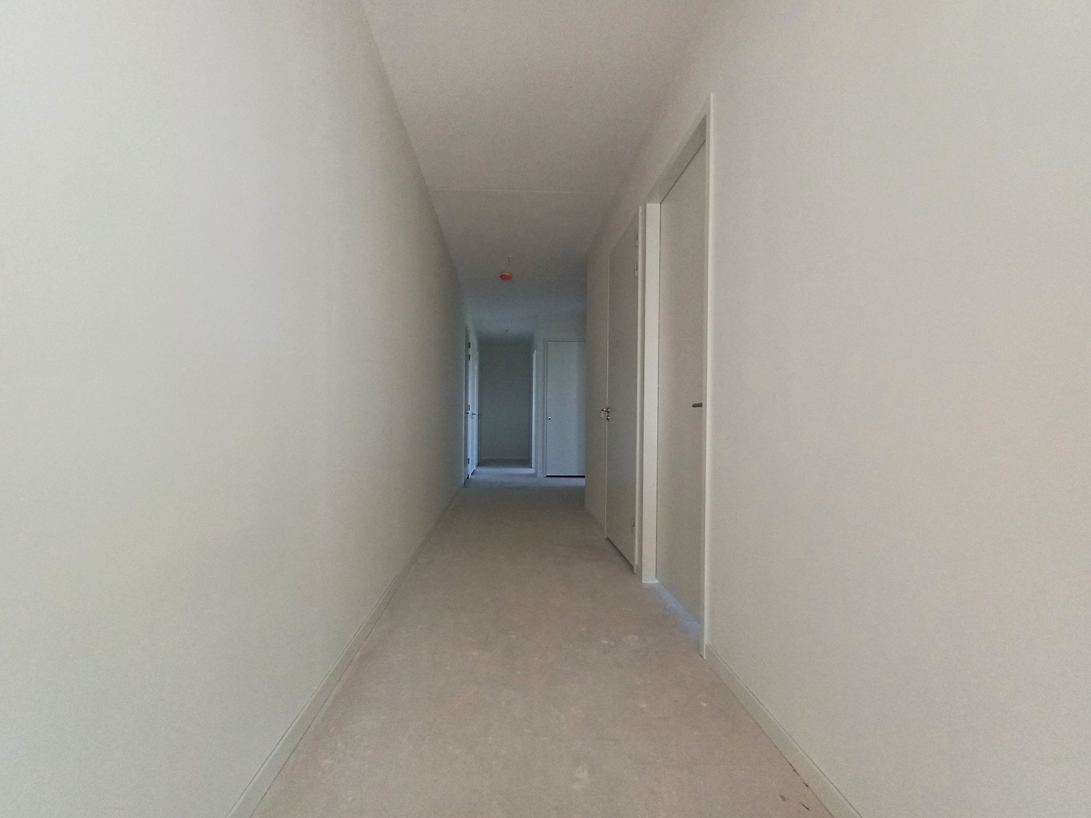 Photo 3 of Bossebaan 404