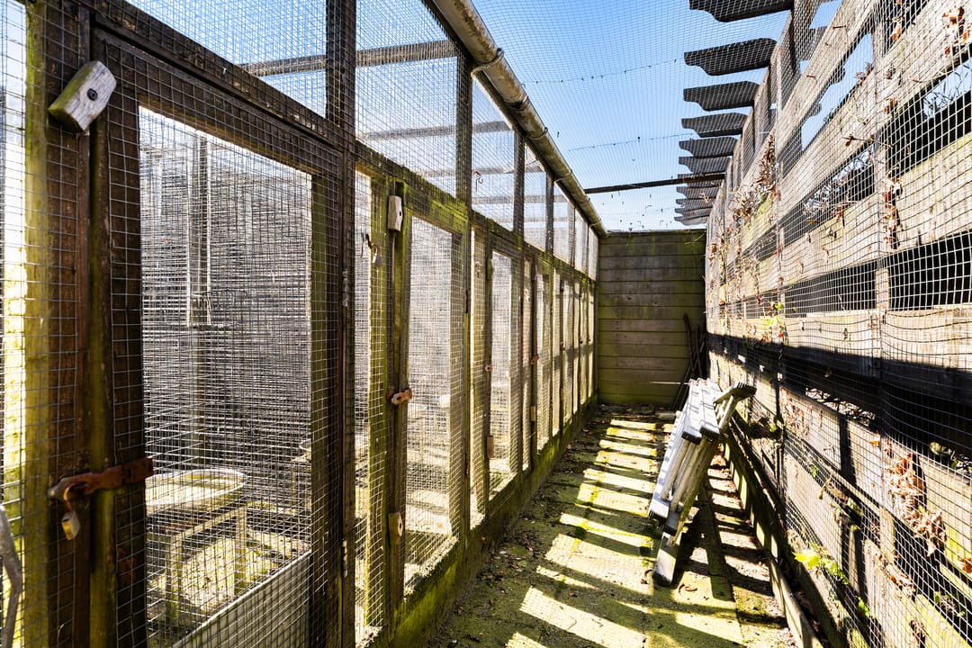 Foto 43 van Camstrastrjitte 7