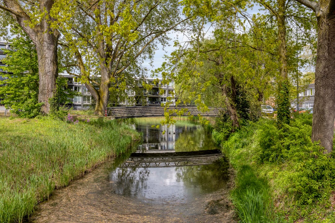 Photo 52 of Bastiaan de Poorterstraat 20
