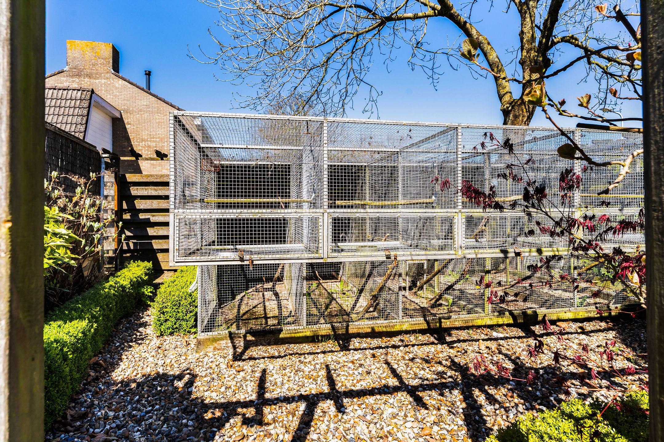 Foto 42 van Camstrastrjitte 7