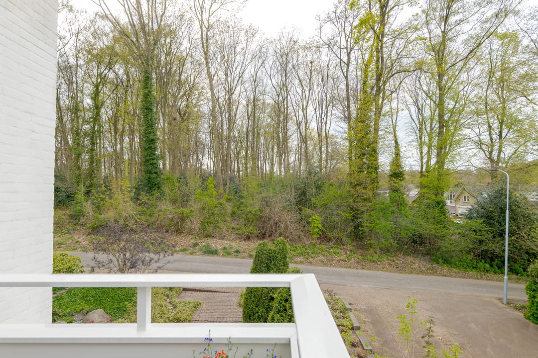 Photo 62 of Berg en Bos 32