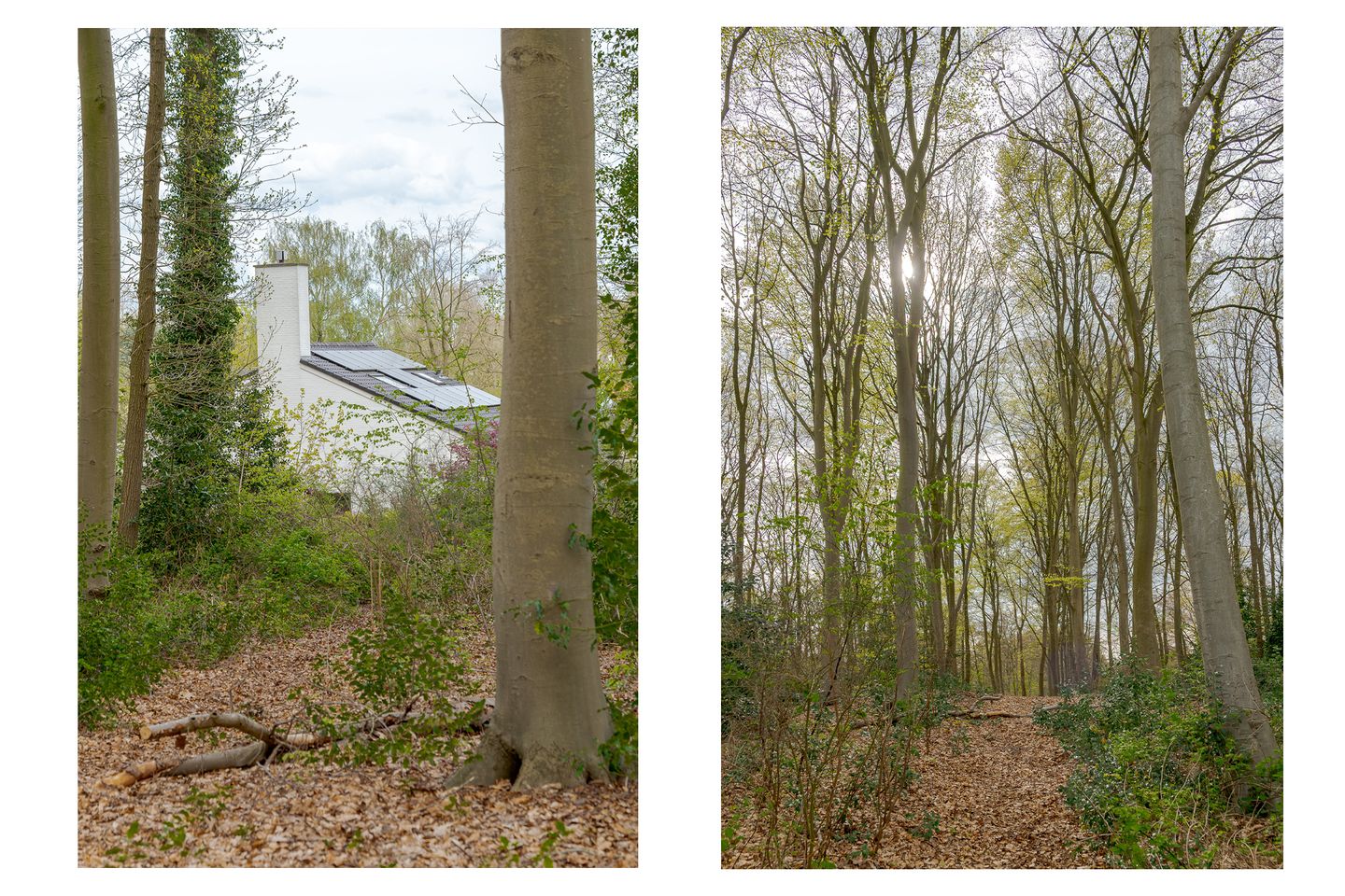 Photo 74 of Berg en Bos 32