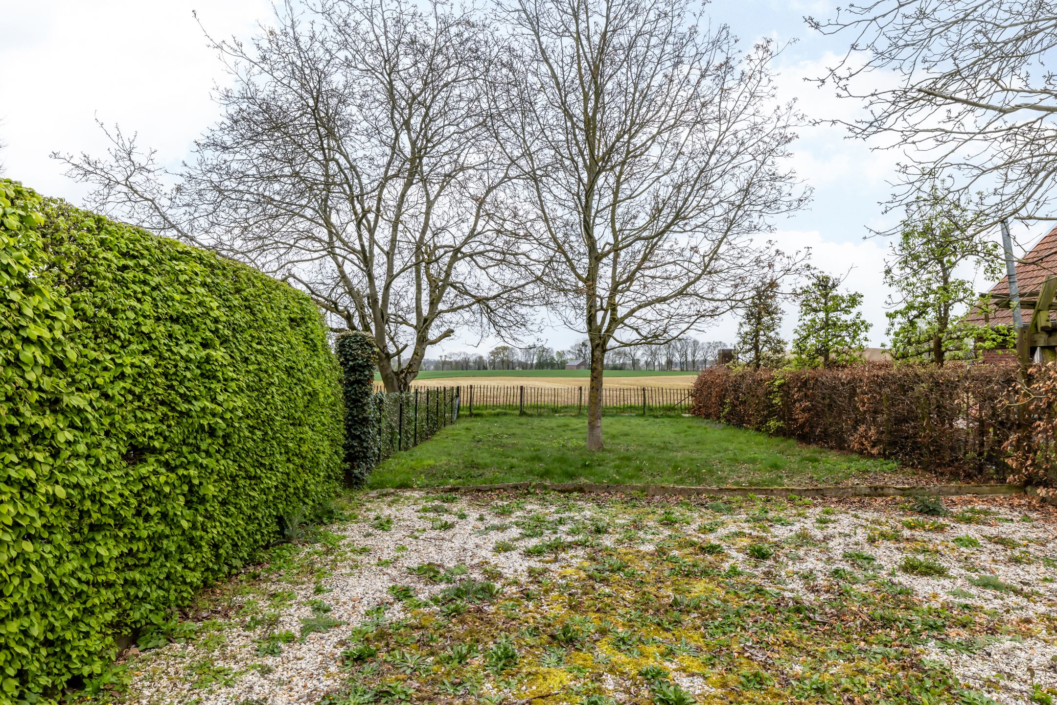 Foto 36 van Kerkstraat 96