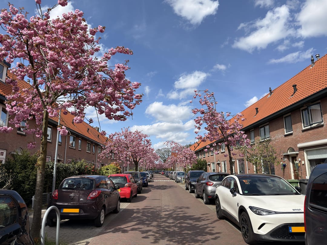 Foto 41 van Kapteynstraat 39