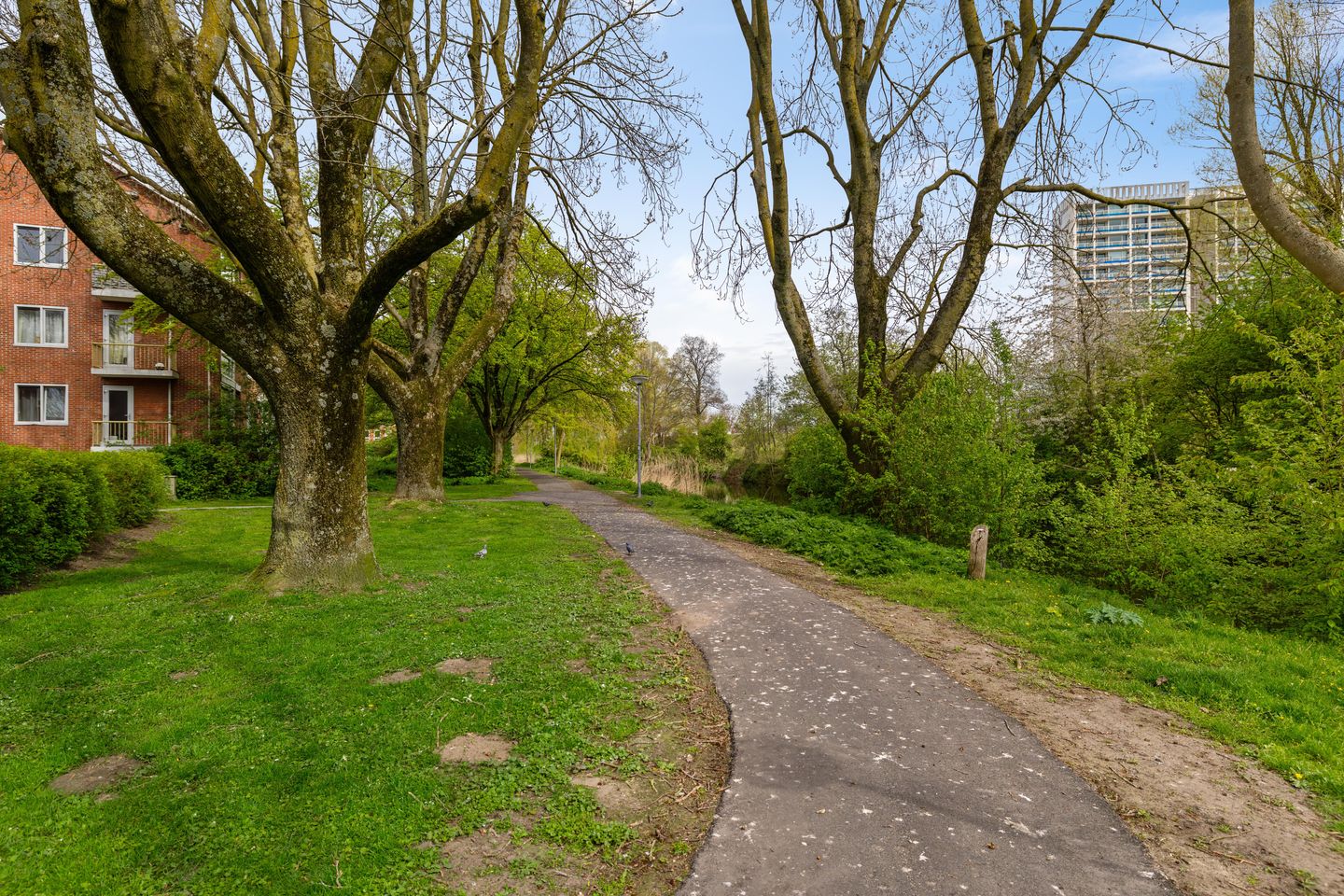 Foto 40 van Vlierstraat 15