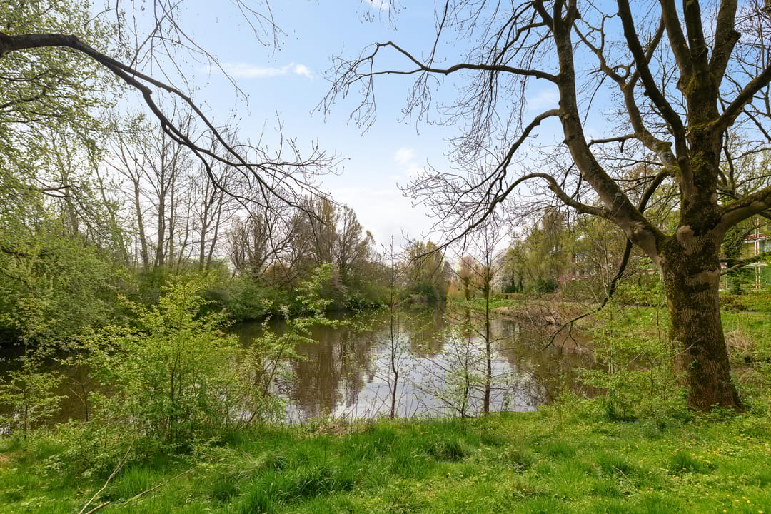 Foto 41 van Vlierstraat 15