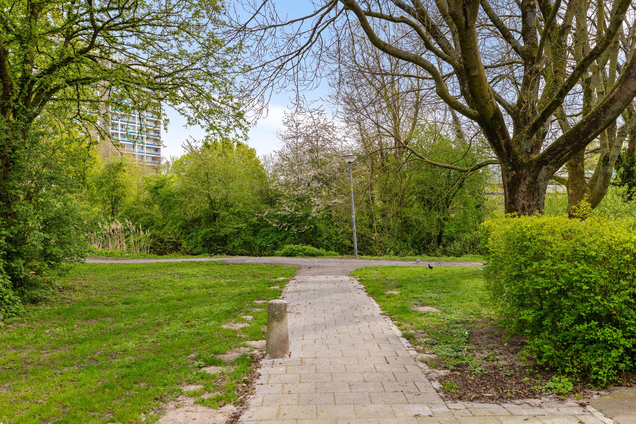 Foto 42 van Vlierstraat 15