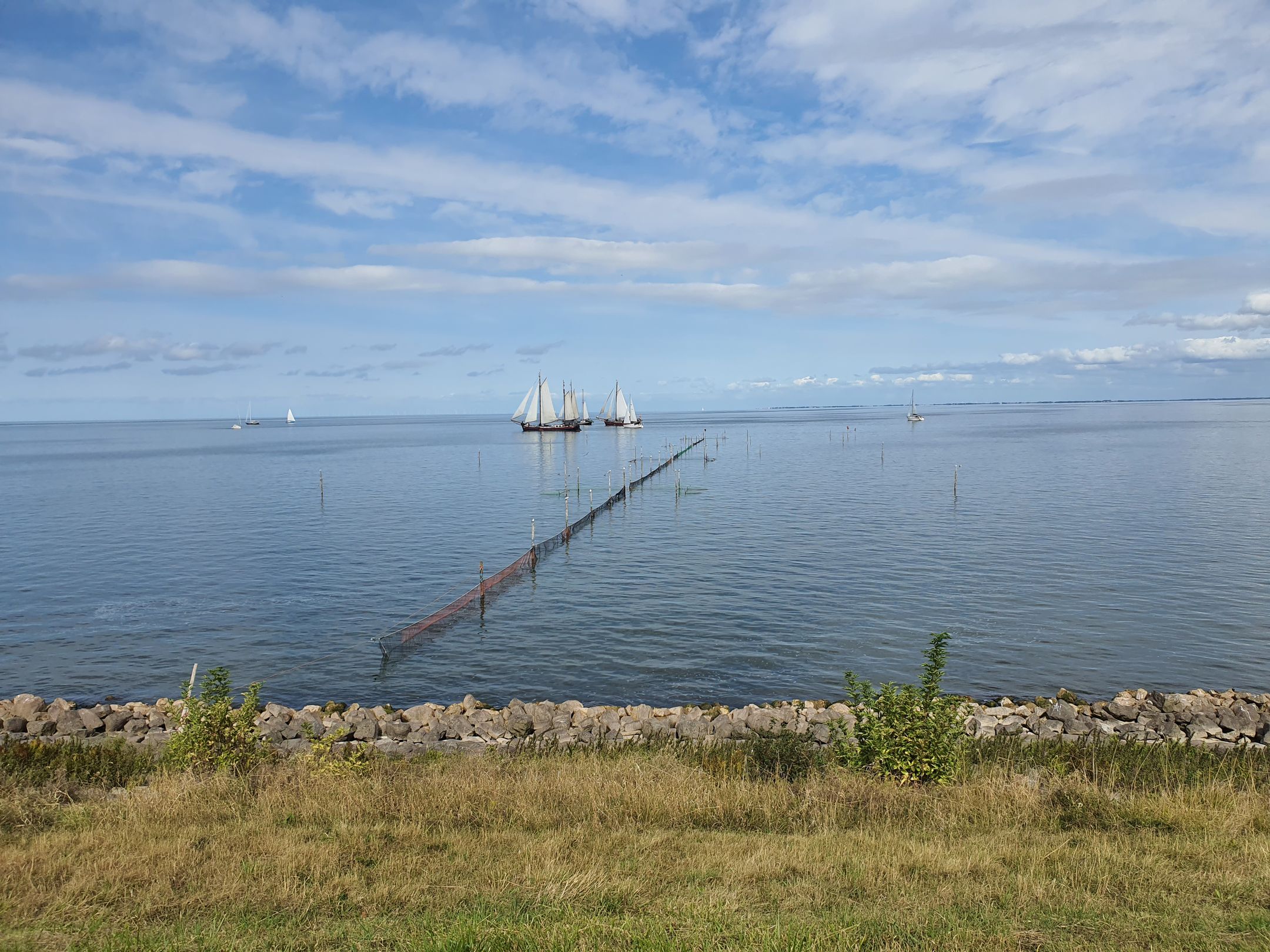 Foto 36 van Kleingouw 26-A