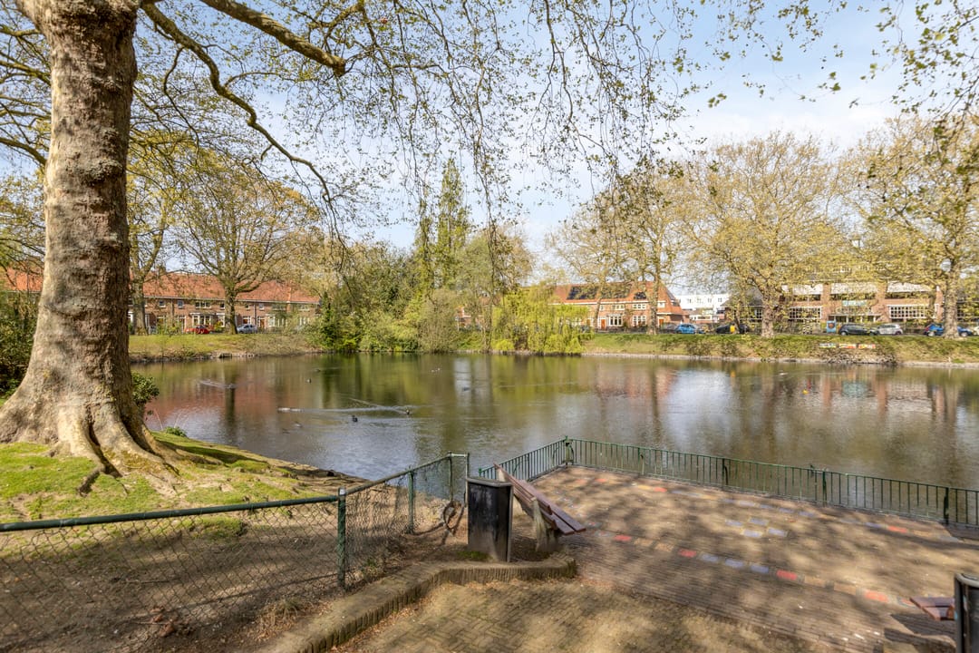 Foto 41 van Cornelis de Vriendtstraat 19