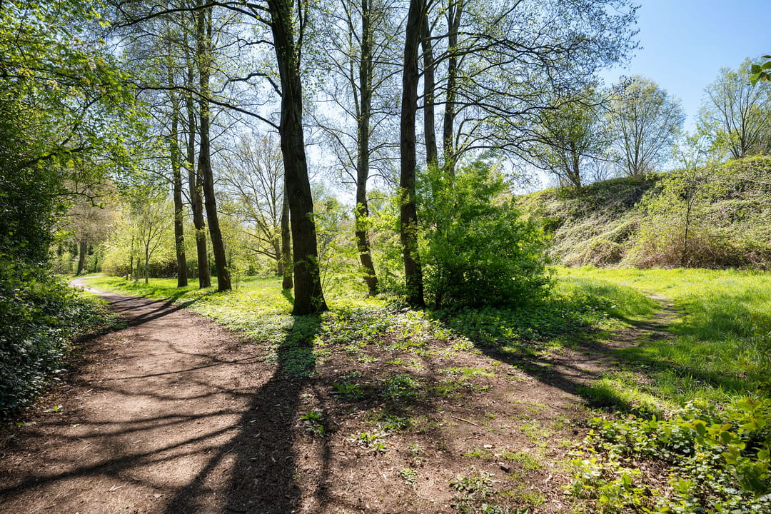 Photo 43 of Betuwe 32