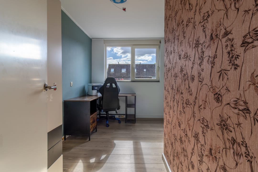 Photo 13 of Hommel 31