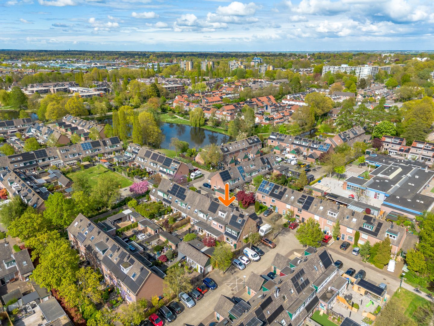 Photo 29 of Hommel 31