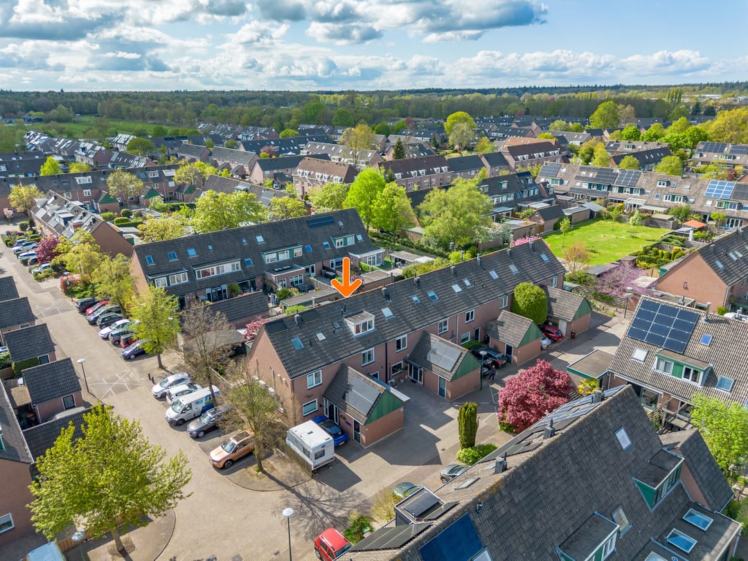 Photo 28 of Hommel 31