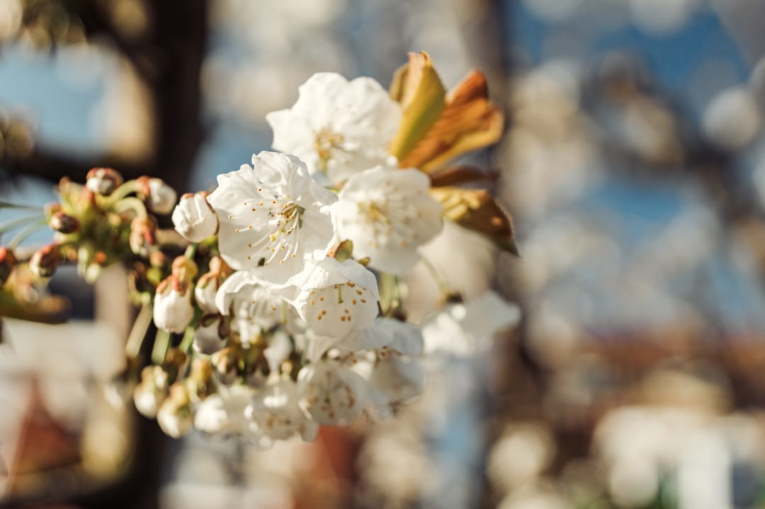 Foto 17 van Leeuwendalersstraat 23