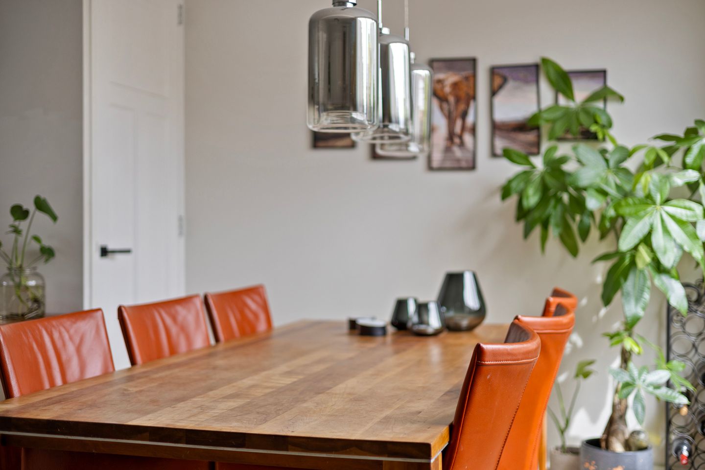 Foto 14 van Halve Maan 13