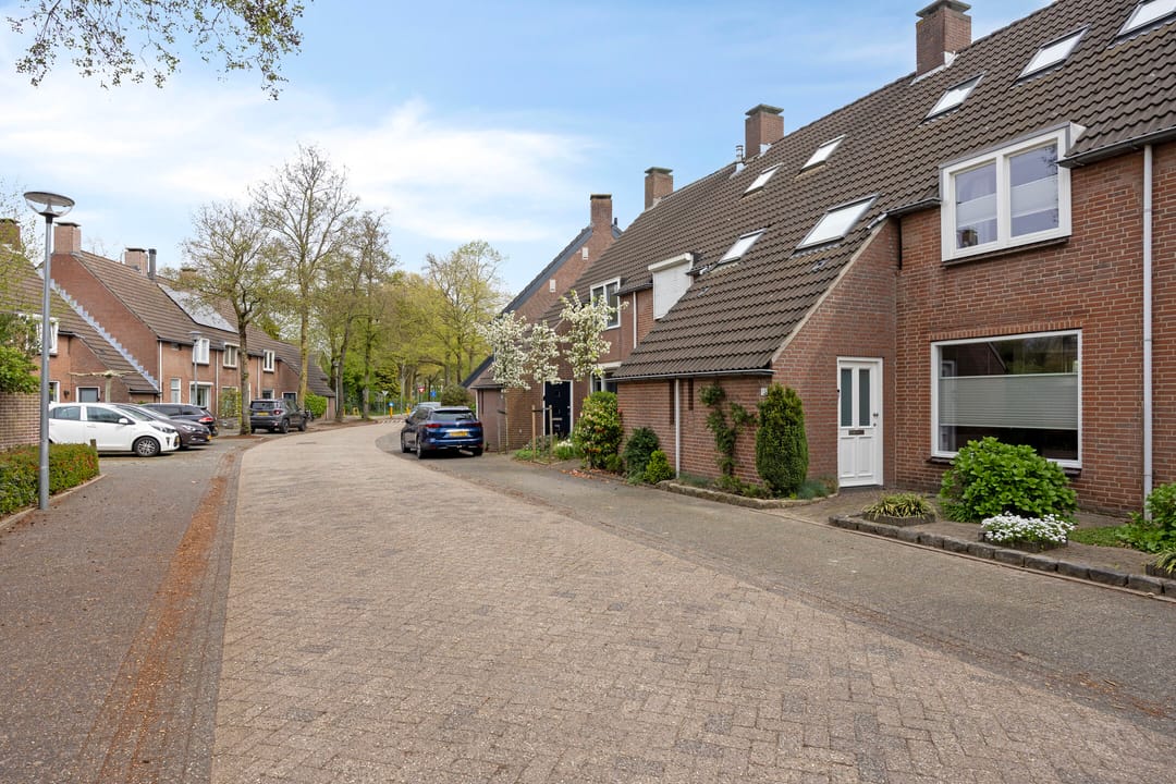 Foto 61 van Halve Maan 13