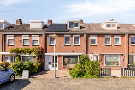 Kogelsmortel thumbnail