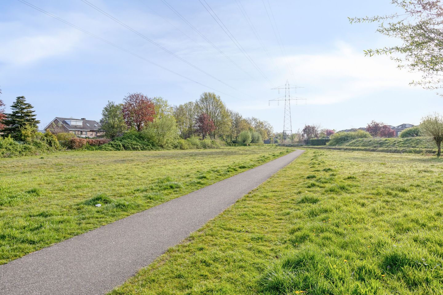 Photo 55 of Elsbeen van Baerlestraat 22