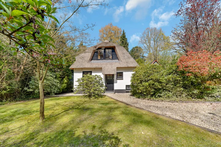 Foto 4 van Veenwal 3