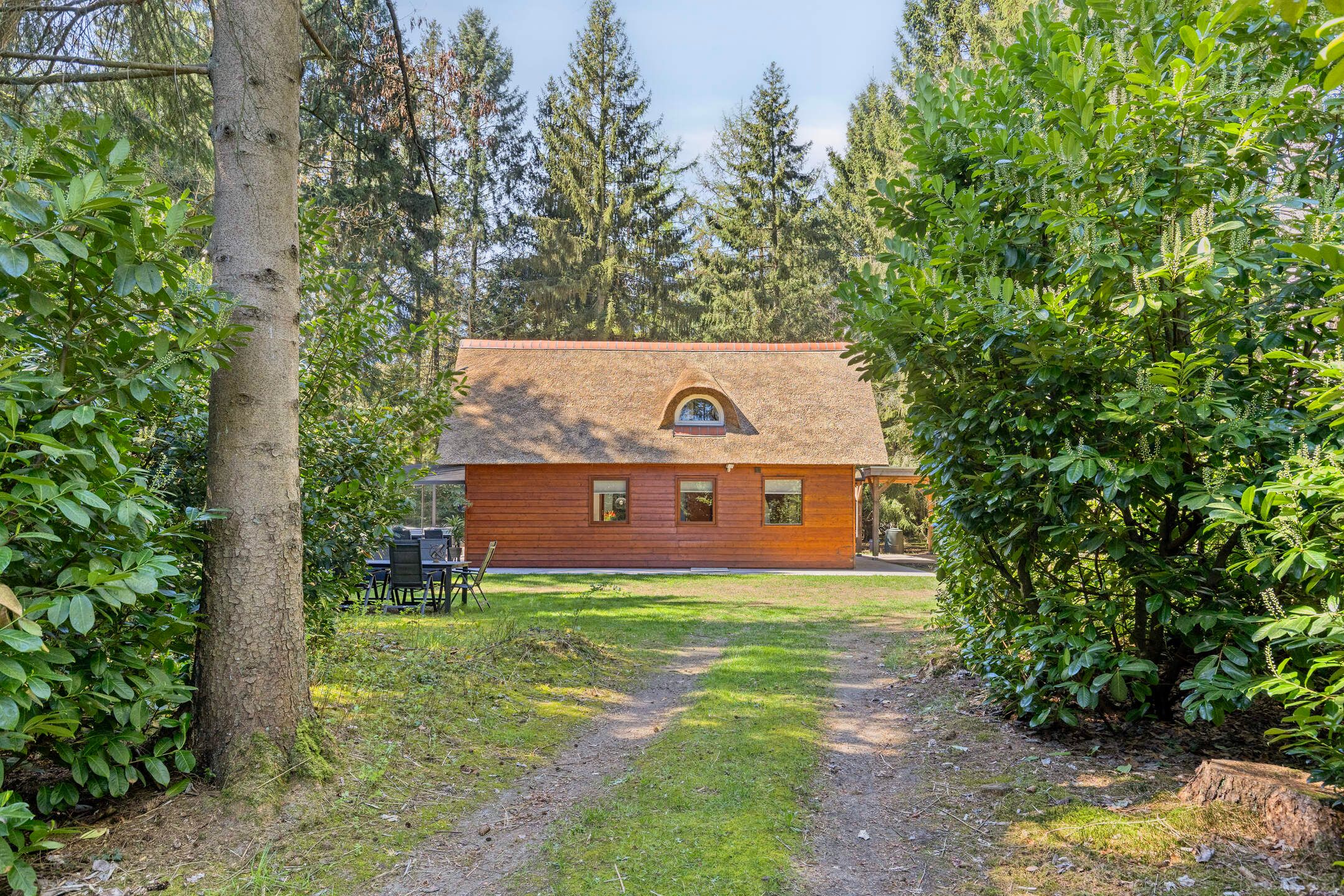 3-bedroom freehold villa in Zeegse — photo 4 of 5