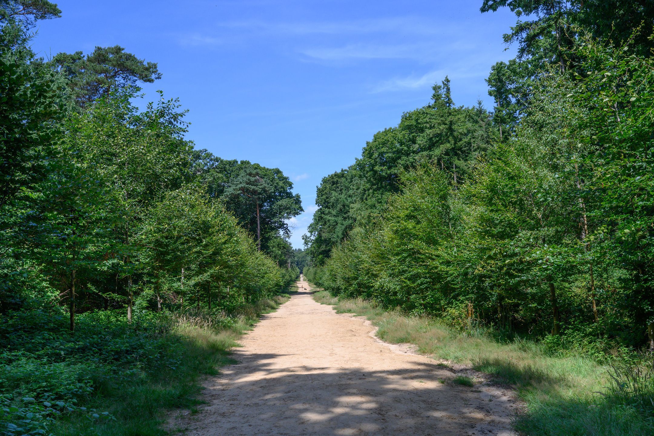 Foto 51 van Cornelis Dopperlaan 46