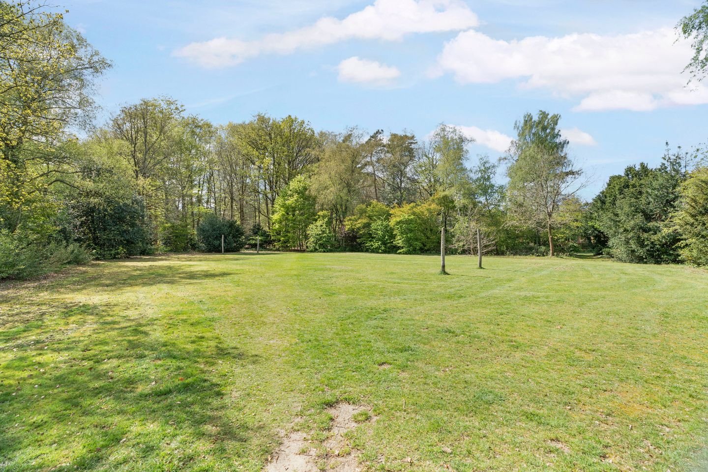 Foto 50 van Cornelis Dopperlaan 46