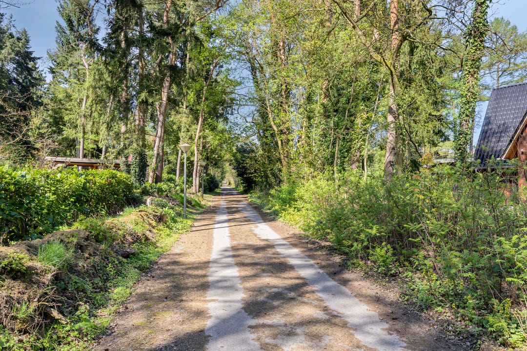 Foto 47 van Larixlaan 7