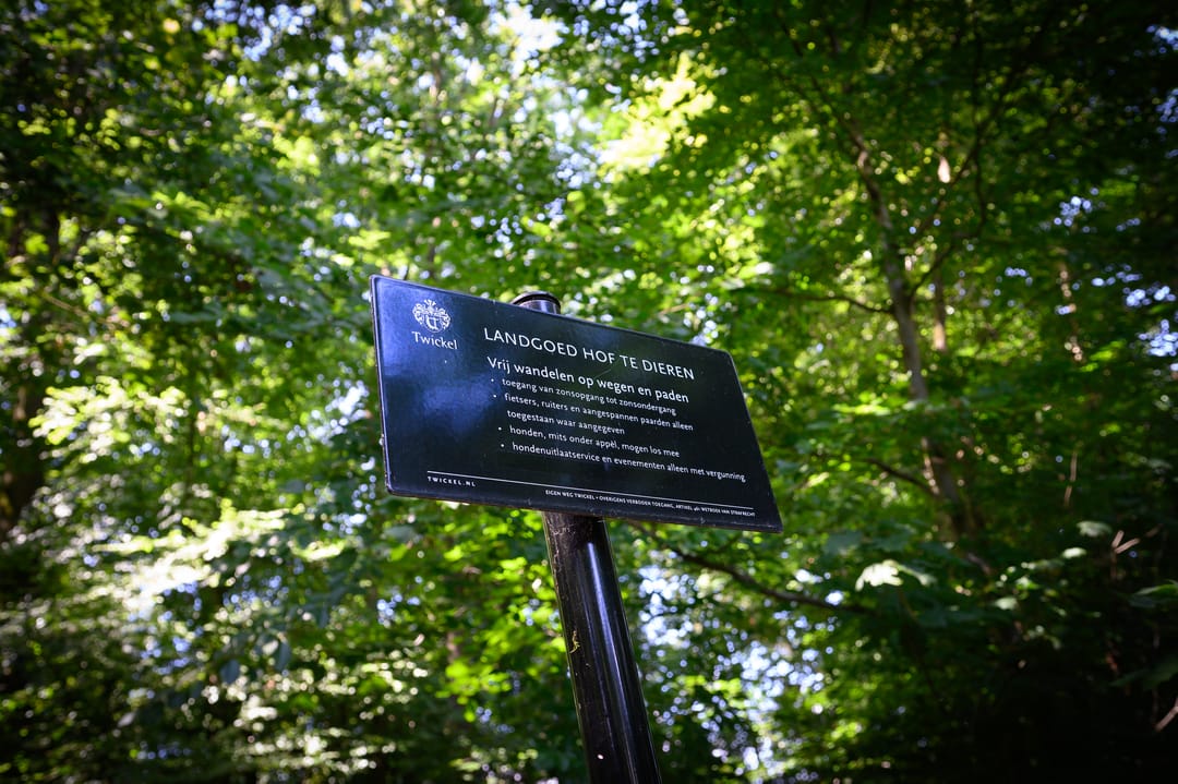 Foto 52 van Cornelis Dopperlaan 46