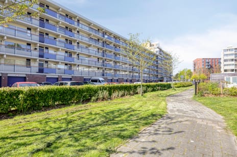 Koekoekstraat thumbnail