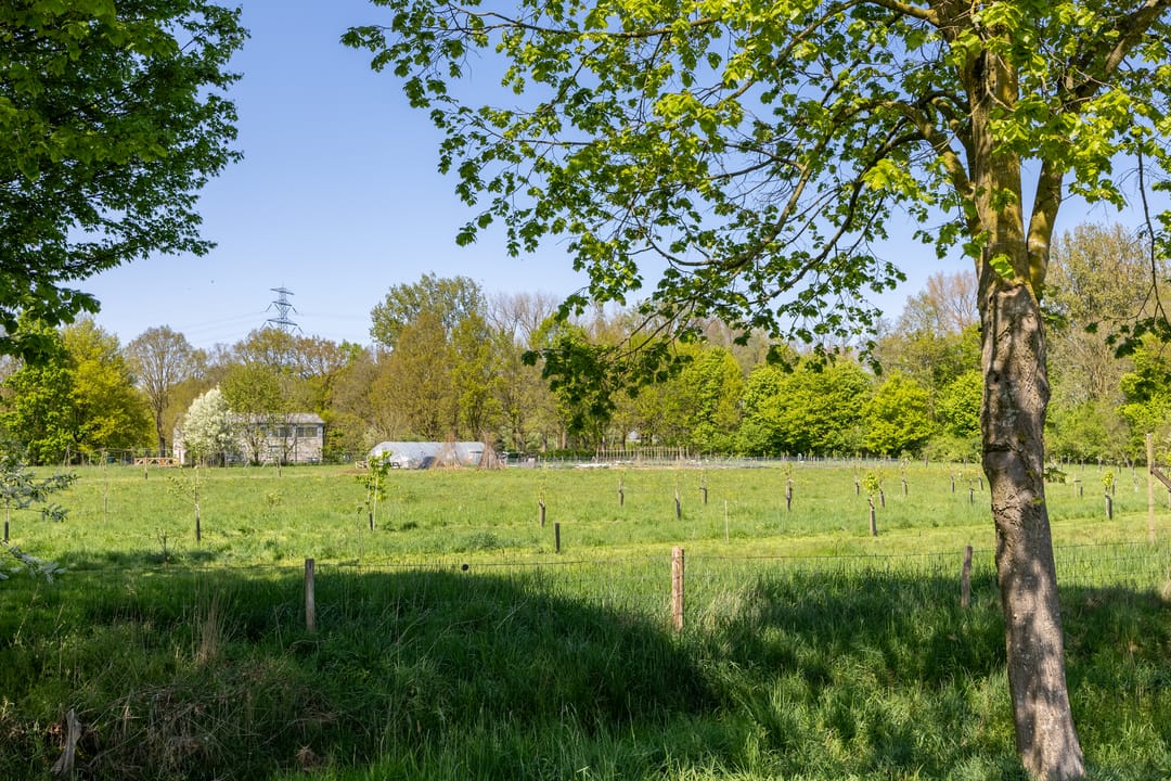 Foto 46 van Weteringweg 20