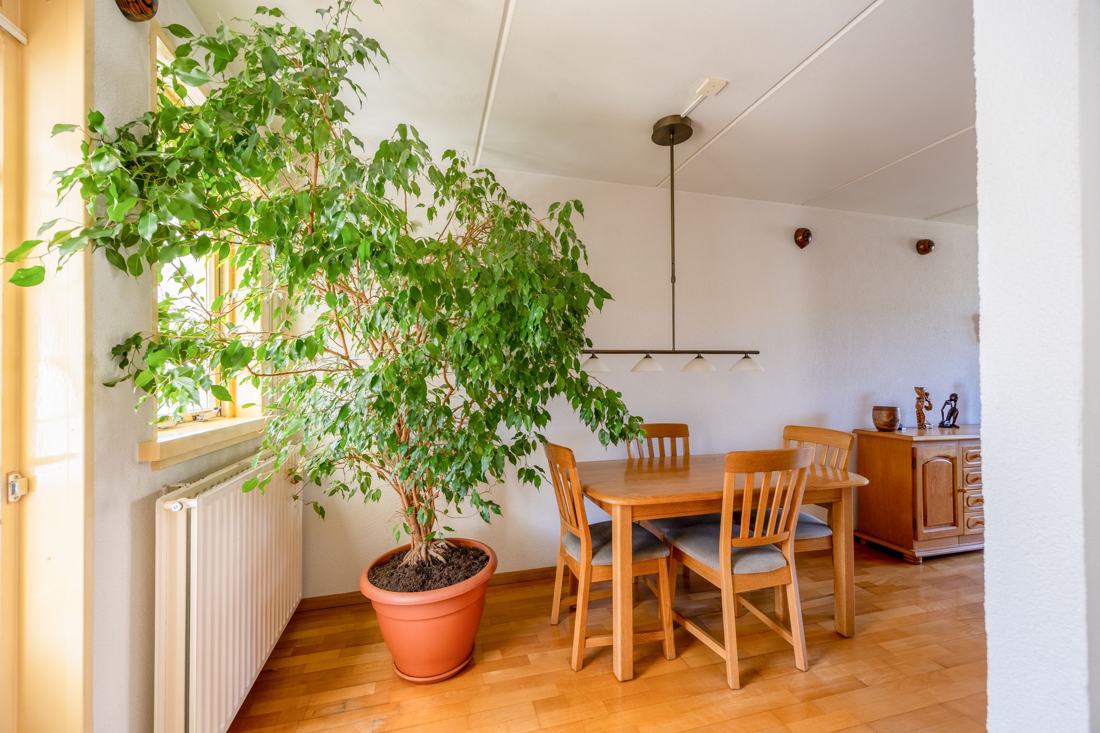 Foto 12 van Weteringweg 20