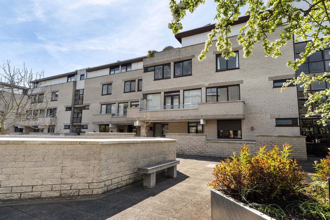 Foto 52 van Sterrekinderen erf 12